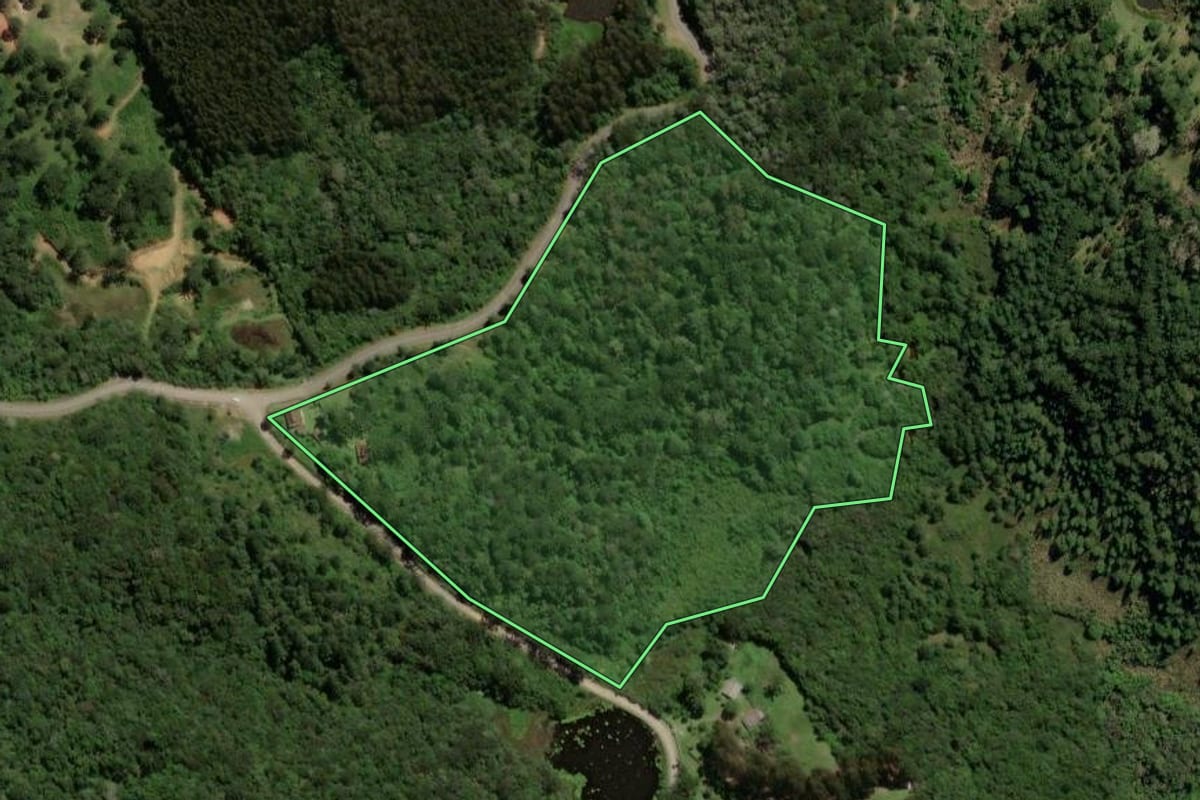 Imagem de satélite do imóvel rural em Quatro Barras (PR), com o contorno declarado no CAR desenhado por cima.