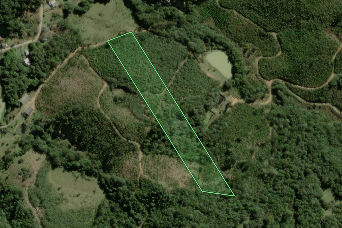 Imagem de satélite do imóvel rural em Quatro Barras (PR), com o contorno declarado no CAR desenhado por cima.