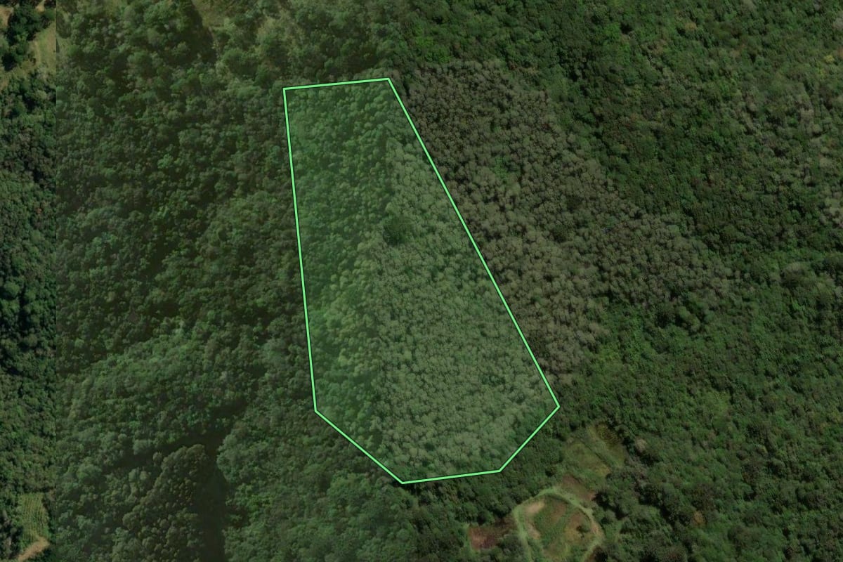 Imagem de satélite do imóvel rural em Quatro Barras (PR), com o contorno declarado no CAR desenhado por cima.
