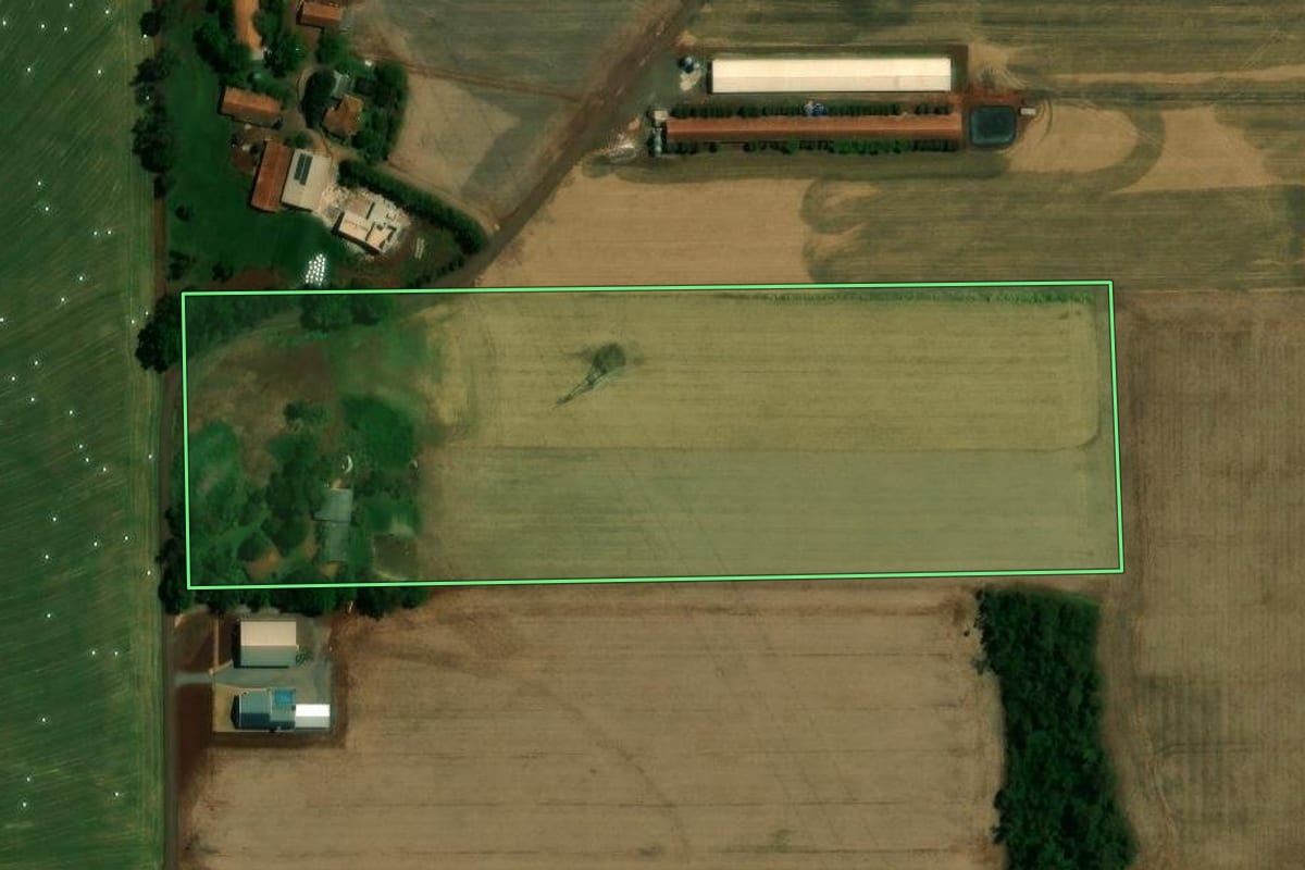 Imagem de satélite do imóvel rural em Quatro Pontes (PR), com o contorno declarado no CAR desenhado por cima.