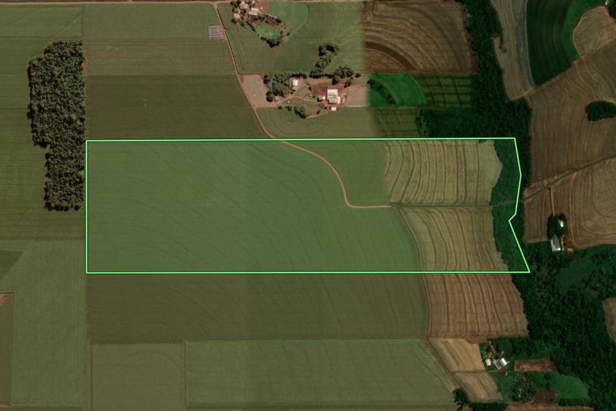 Imagem de satélite do imóvel rural em Quatro Pontes (PR), com o contorno declarado no CAR desenhado por cima.