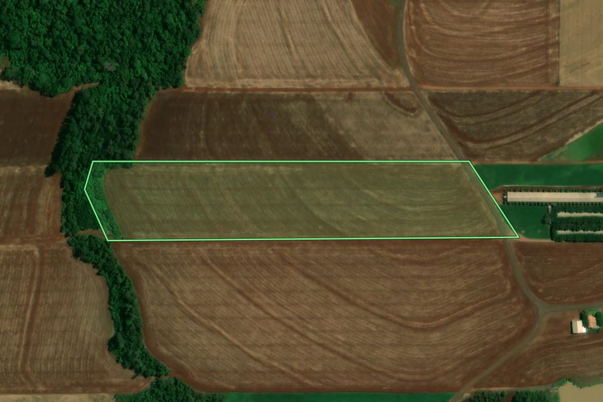 Imagem de satélite do imóvel rural em Quatro Pontes (PR), com o contorno declarado no CAR desenhado por cima.