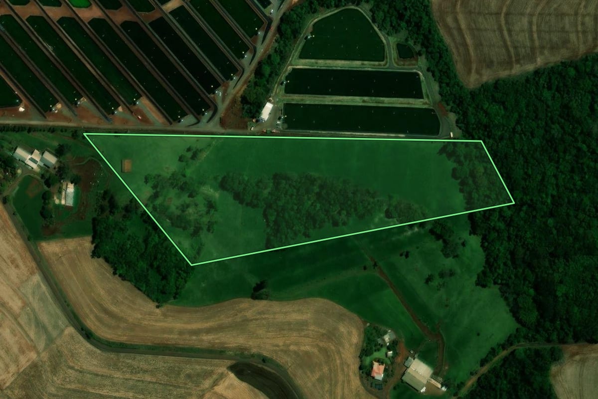 Imagem de satélite do imóvel rural em Quatro Pontes (PR), com o contorno declarado no CAR desenhado por cima.