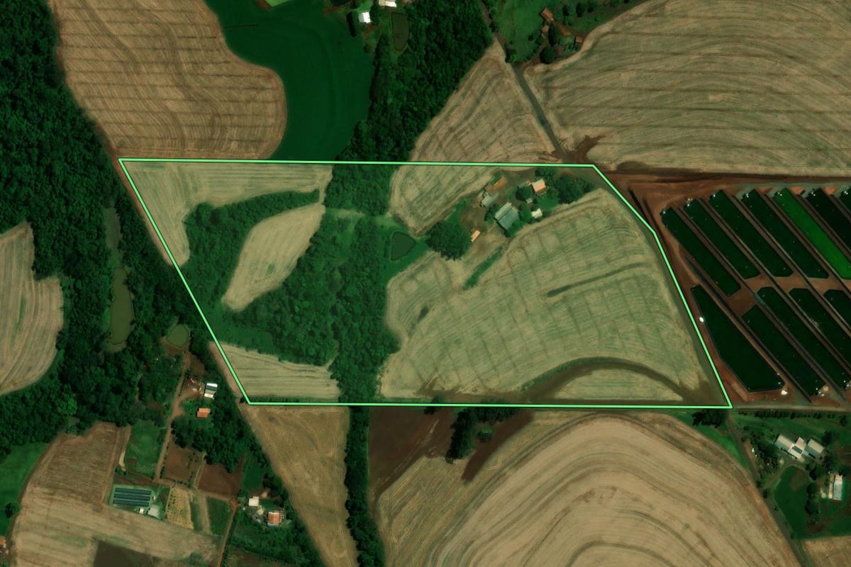 Imagem de satélite do imóvel rural em Quatro Pontes (PR), com o contorno declarado no CAR desenhado por cima.