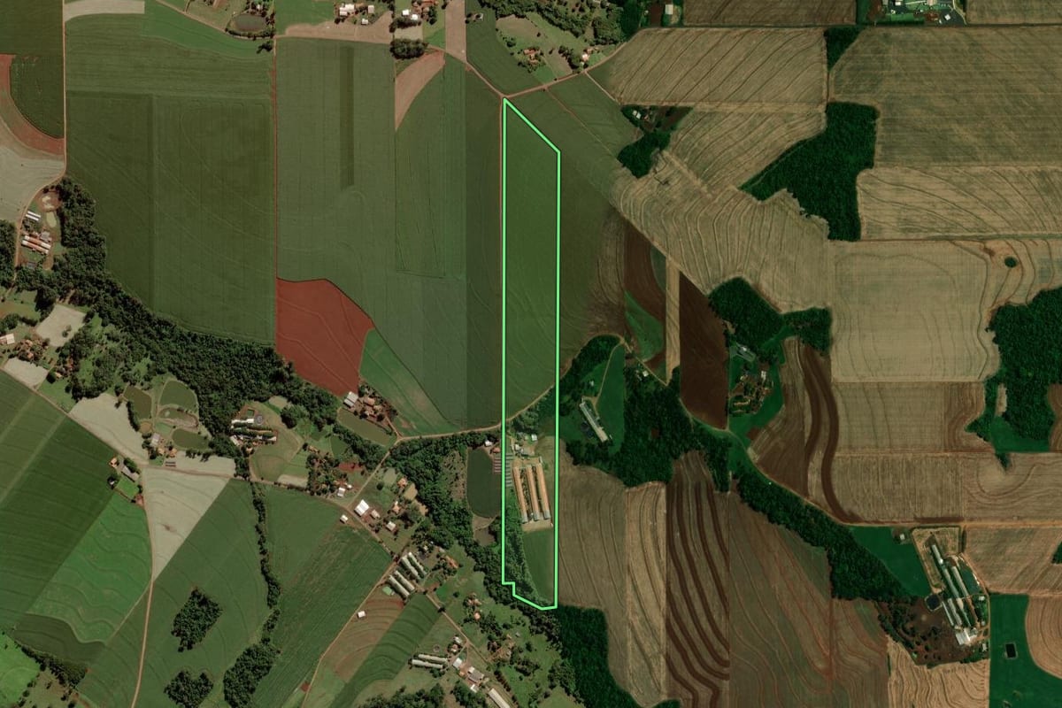 Imagem de satélite do imóvel rural em Quatro Pontes (PR), com o contorno declarado no CAR desenhado por cima.