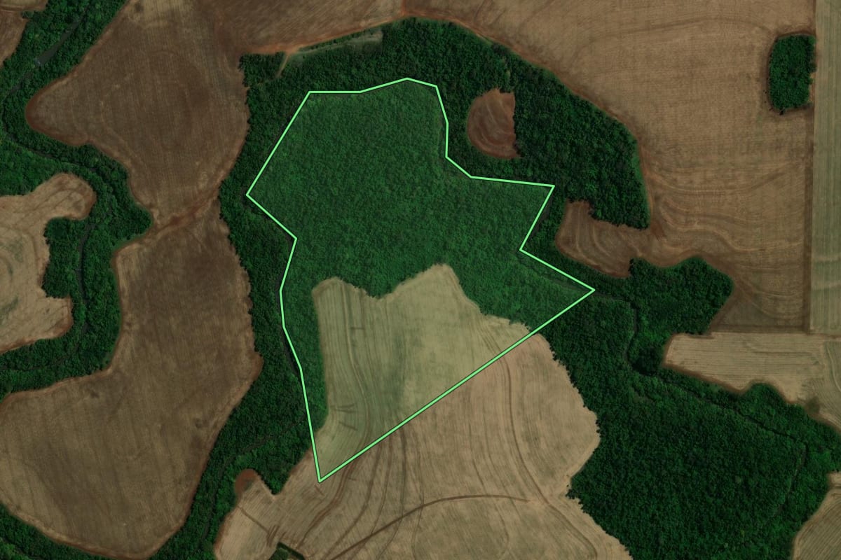 Imagem de satélite do imóvel rural em Quatro Pontes (PR), com o contorno declarado no CAR desenhado por cima.