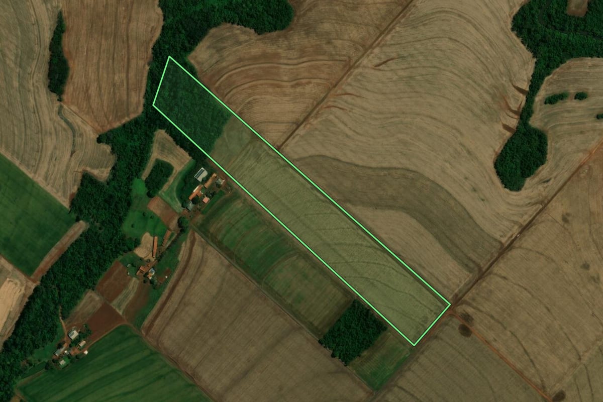 Imagem de satélite do imóvel rural em Quatro Pontes (PR), com o contorno declarado no CAR desenhado por cima.