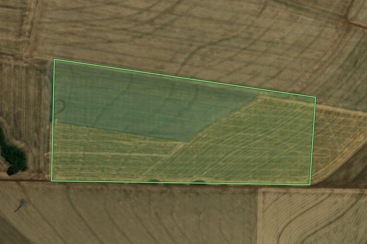 Imagem de satélite do imóvel rural em Quatro Pontes (PR), com o contorno declarado no CAR desenhado por cima.