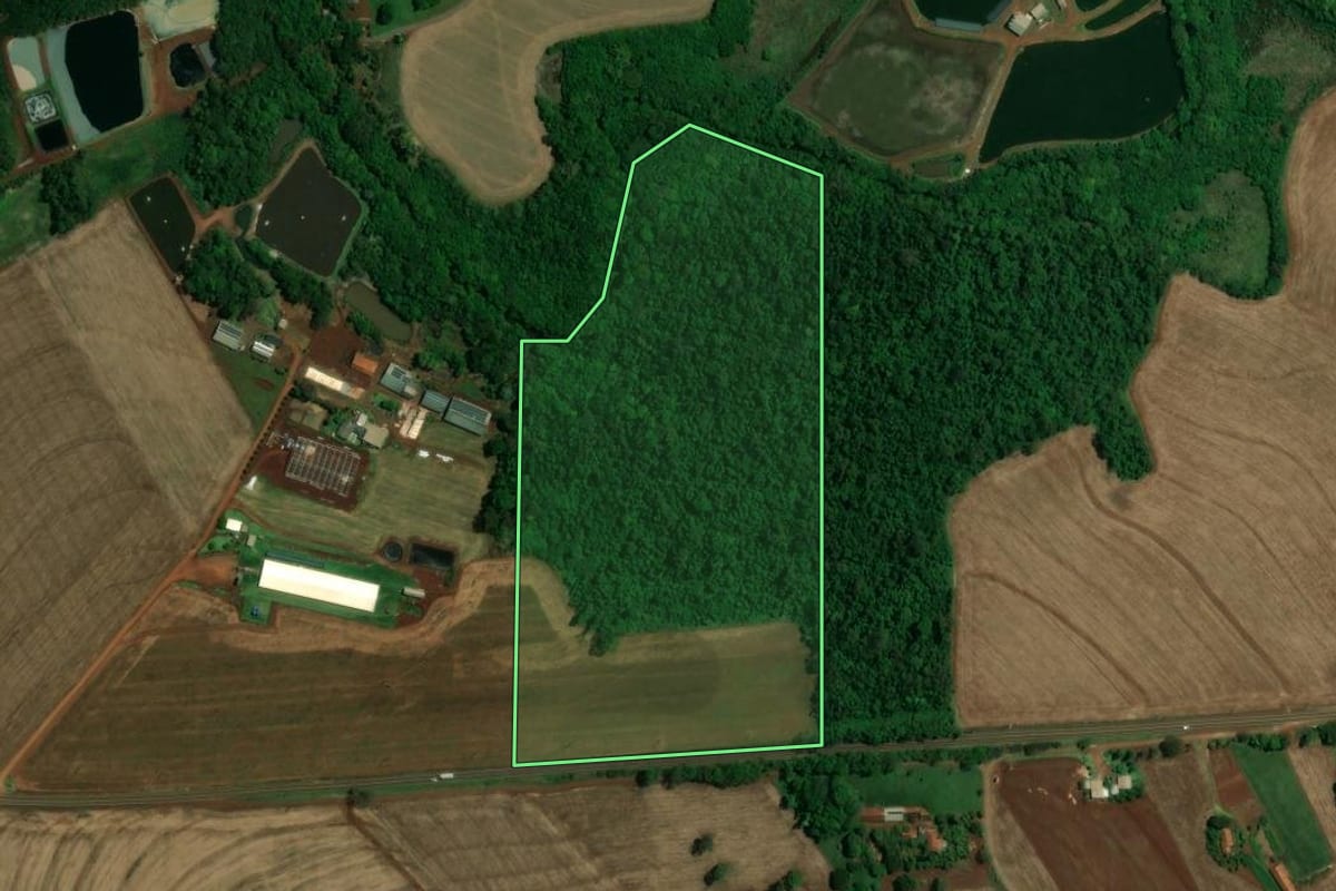 Imagem de satélite do imóvel rural em Quatro Pontes (PR), com o contorno declarado no CAR desenhado por cima.