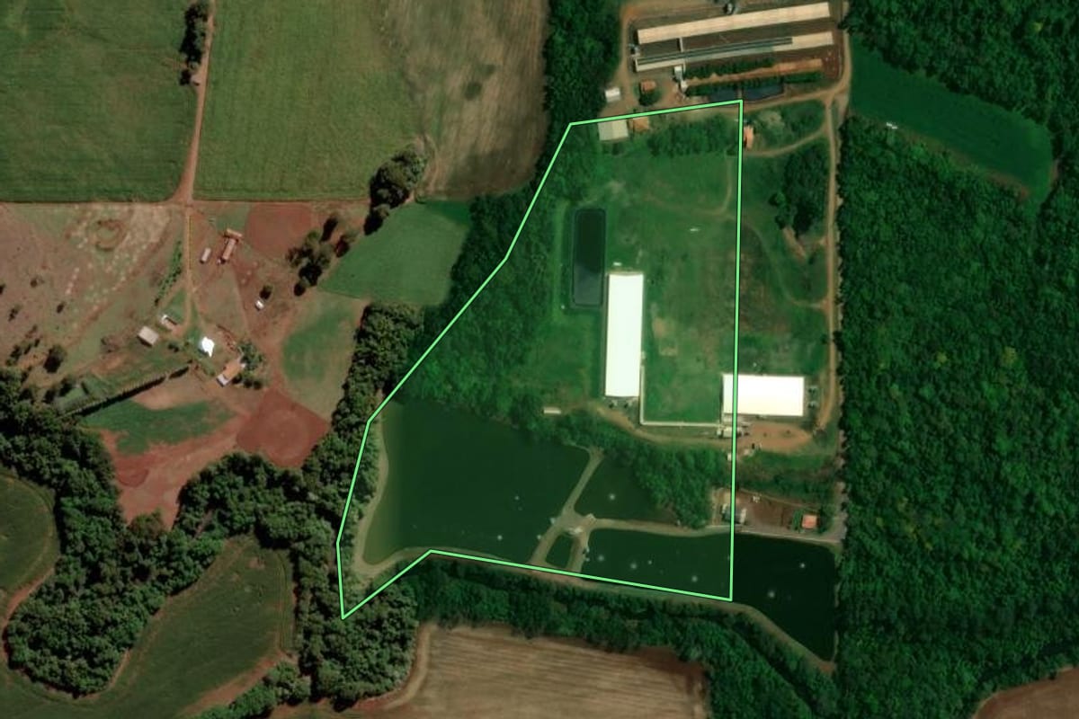 Imagem de satélite do imóvel rural em Quatro Pontes (PR), com o contorno declarado no CAR desenhado por cima.