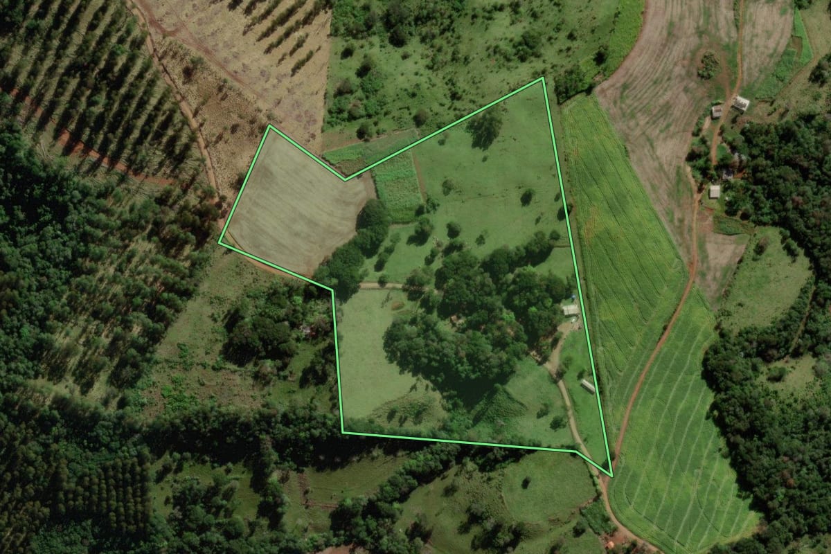 Imagem de satélite do imóvel rural em Quedas do Iguaçu (PR), com o contorno declarado no CAR desenhado por cima.