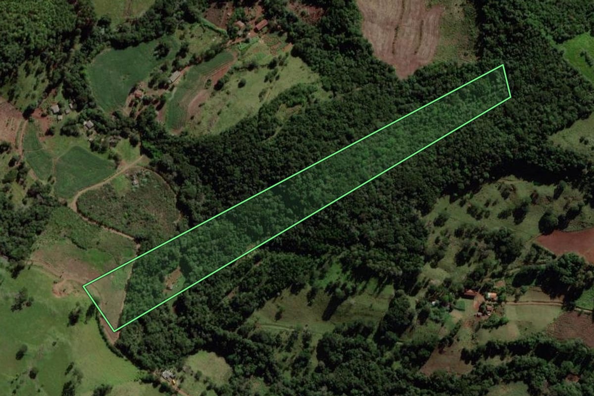 Imagem de satélite do imóvel rural em Quedas do Iguaçu (PR), com o contorno declarado no CAR desenhado por cima.