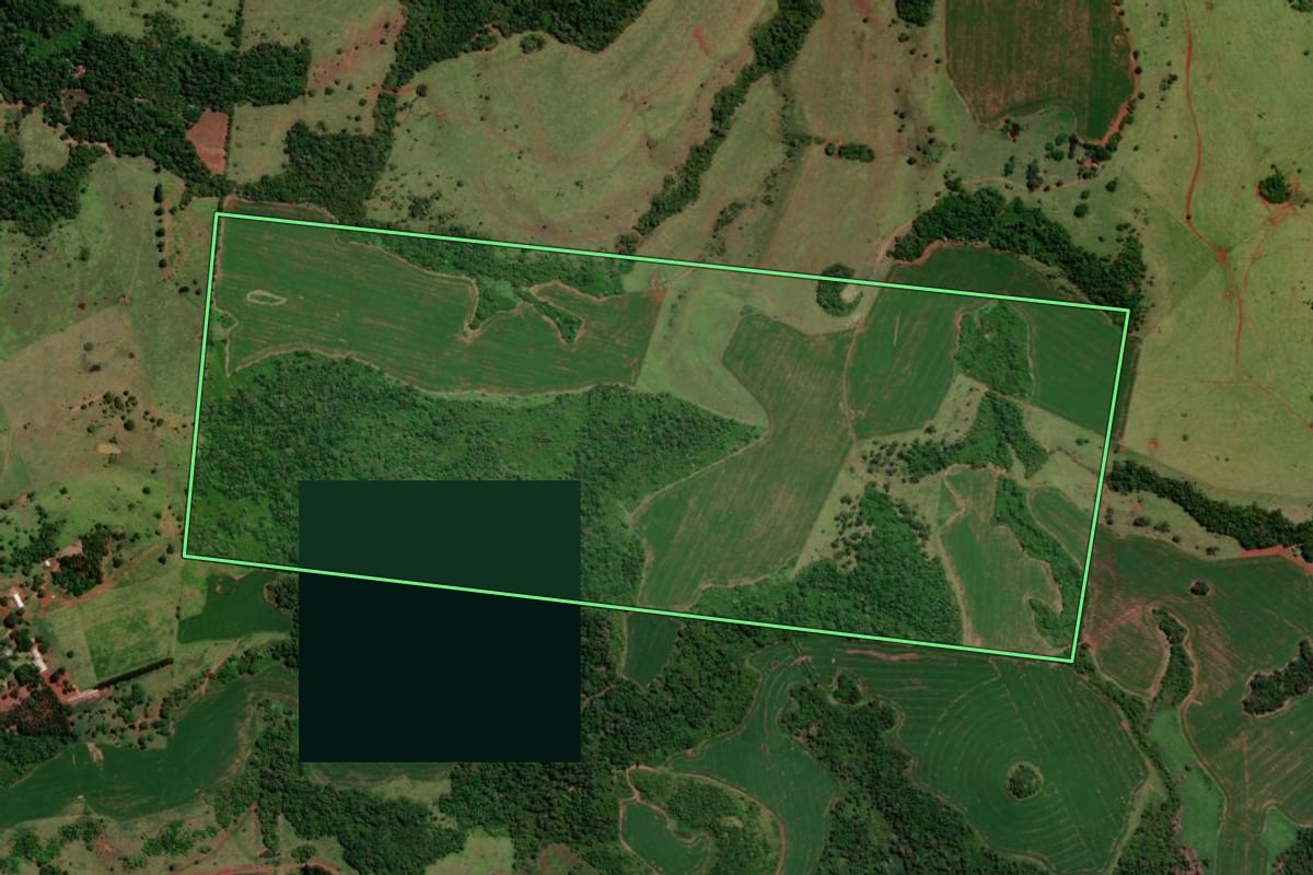 Imagem de satélite do imóvel rural em Quedas do Iguaçu (PR), com o contorno declarado no CAR desenhado por cima.