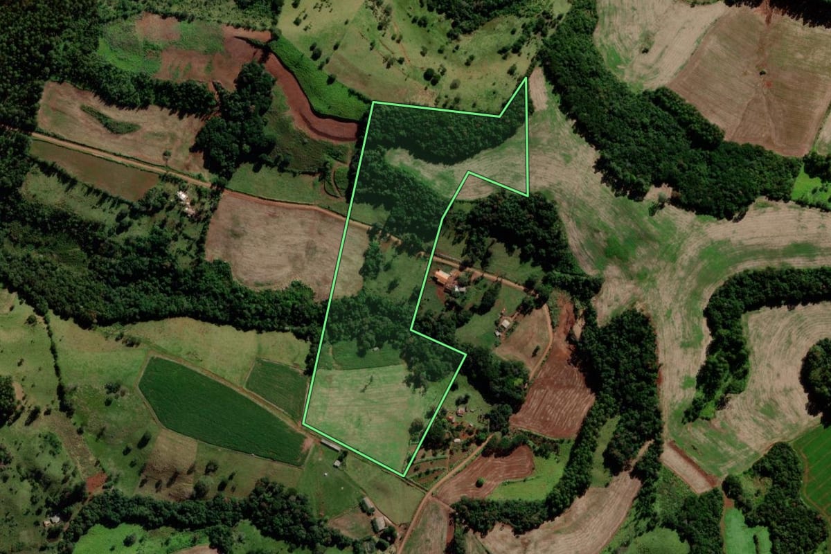 Imagem de satélite do imóvel rural em Quedas do Iguaçu (PR), com o contorno declarado no CAR desenhado por cima.