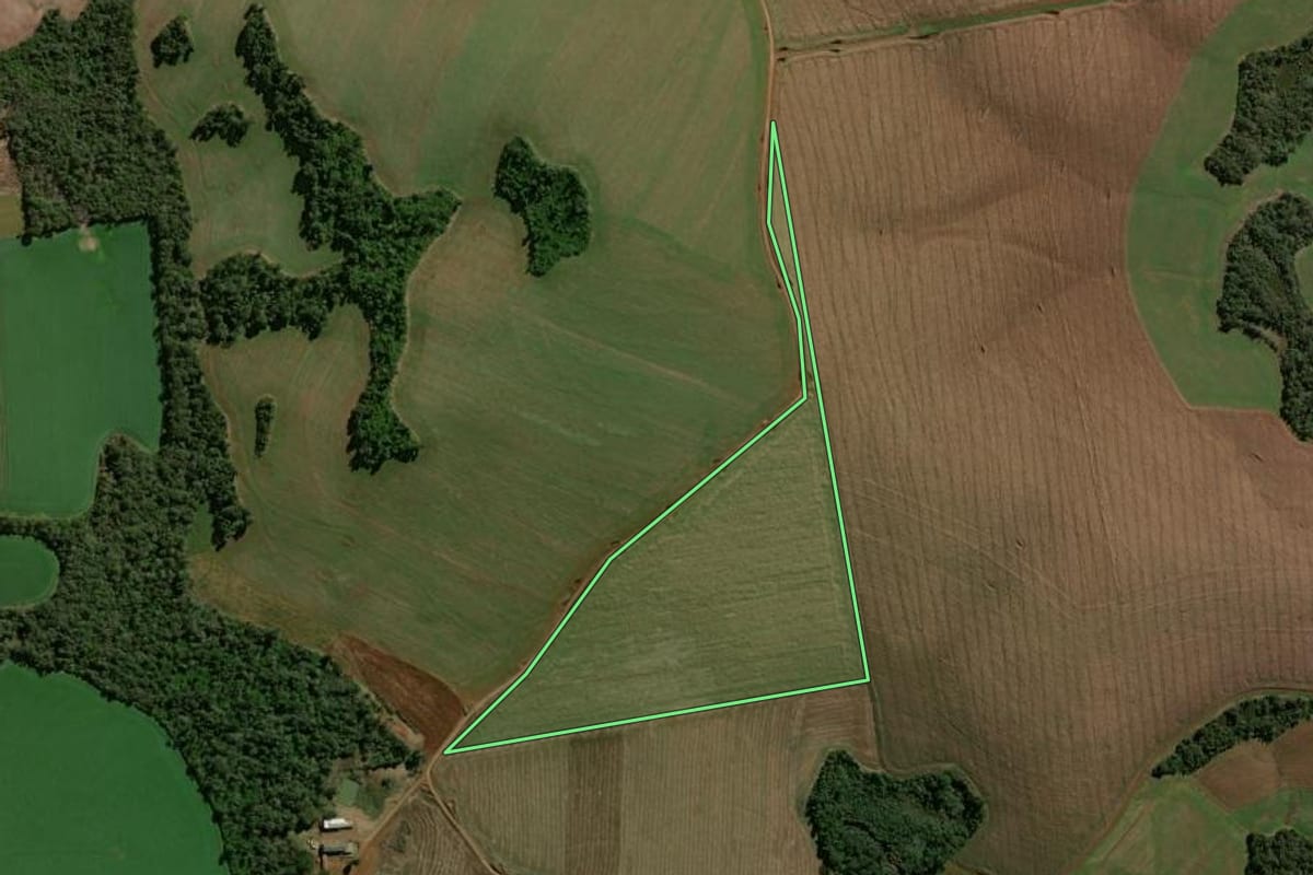 Imagem de satélite do imóvel rural em Quedas do Iguaçu (PR), com o contorno declarado no CAR desenhado por cima.