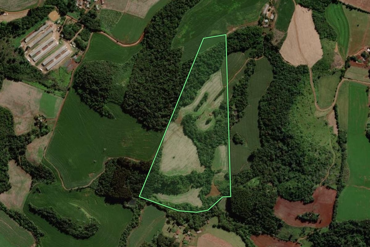Imagem de satélite do imóvel rural em Quedas do Iguaçu (PR), com o contorno declarado no CAR desenhado por cima.