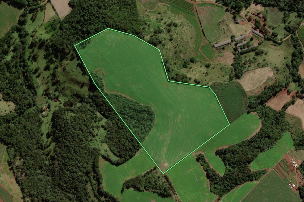 Imagem de satélite do imóvel rural em Quedas do Iguaçu (PR), com o contorno declarado no CAR desenhado por cima.