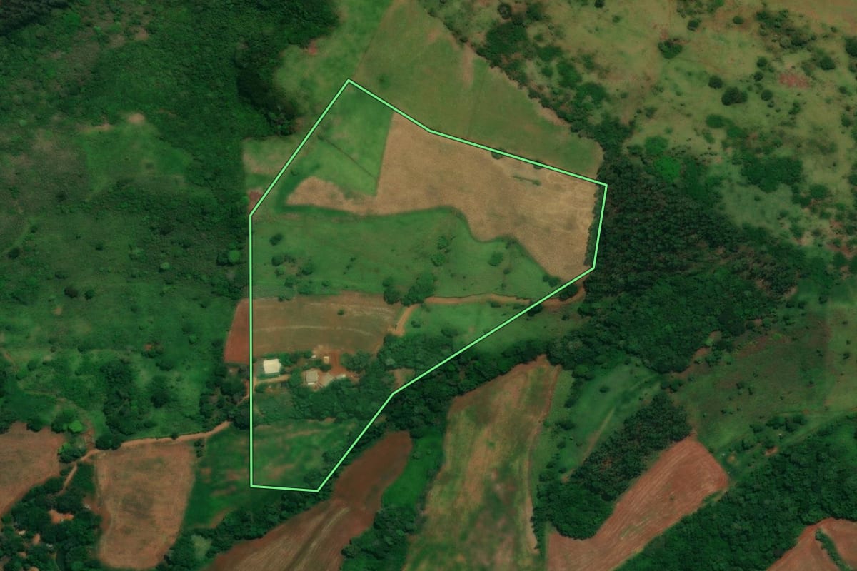 Imagem de satélite do imóvel rural em Quedas do Iguaçu (PR), com o contorno declarado no CAR desenhado por cima.