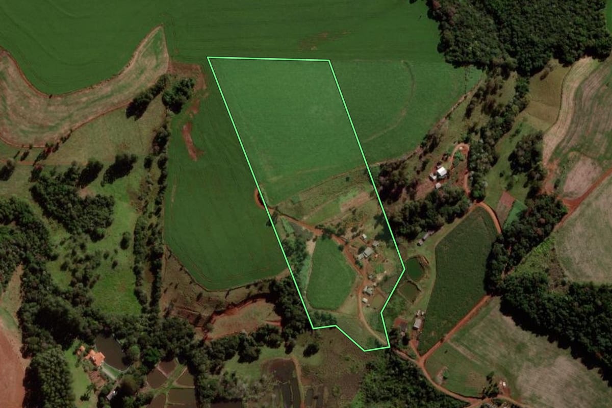 Imagem de satélite do imóvel rural em Quedas do Iguaçu (PR), com o contorno declarado no CAR desenhado por cima.