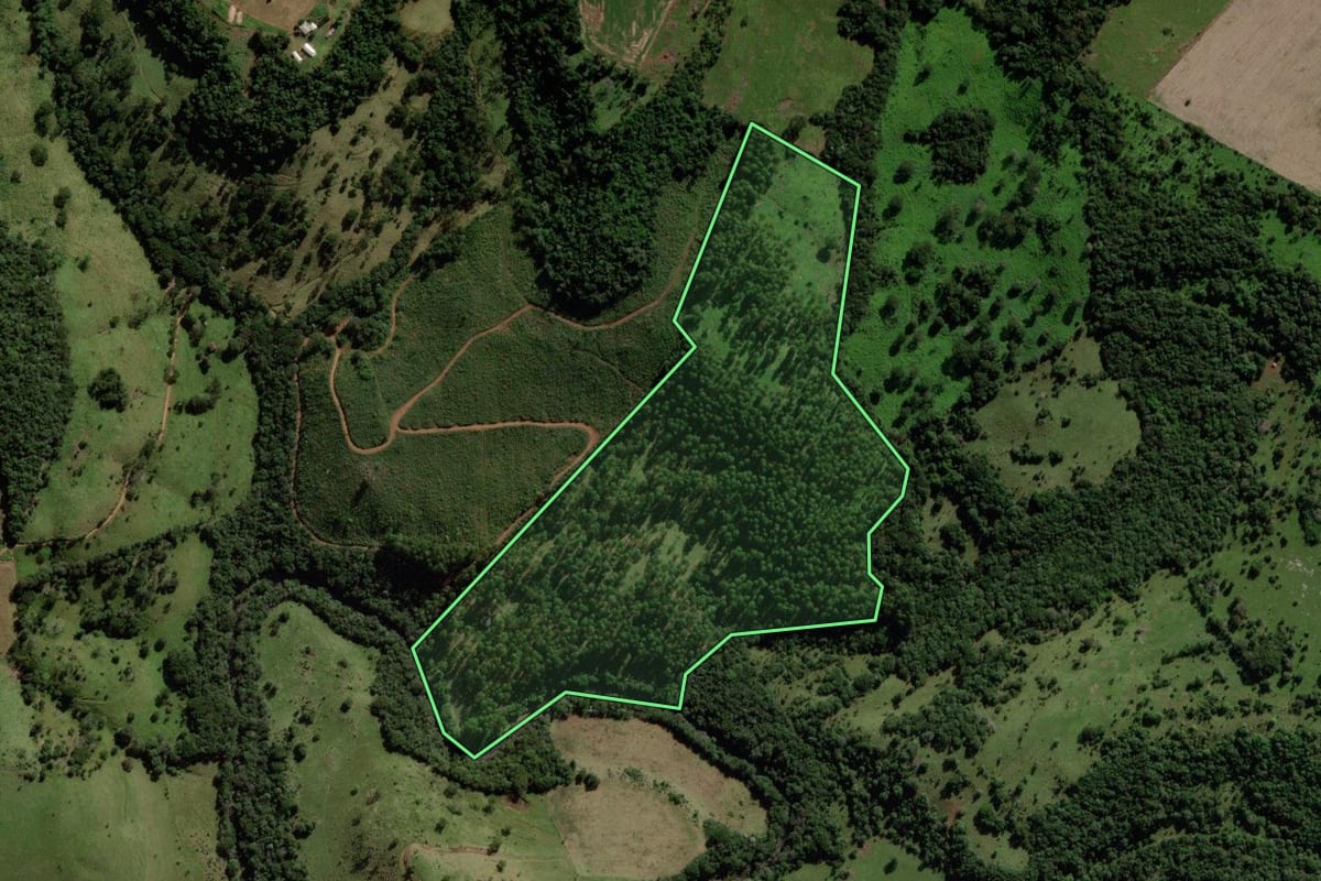 Imagem de satélite do imóvel rural em Quedas do Iguaçu (PR), com o contorno declarado no CAR desenhado por cima.