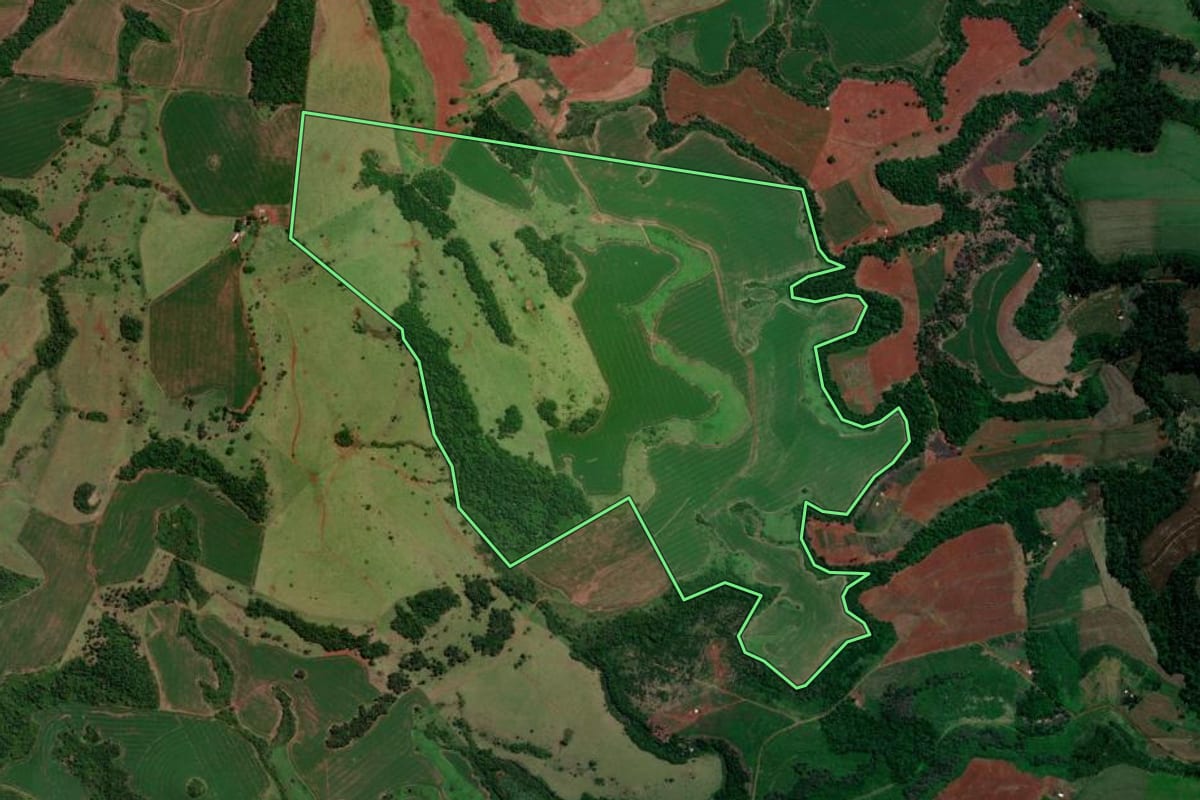 Imagem de satélite do imóvel rural em Quedas do Iguaçu (PR), com o contorno declarado no CAR desenhado por cima.