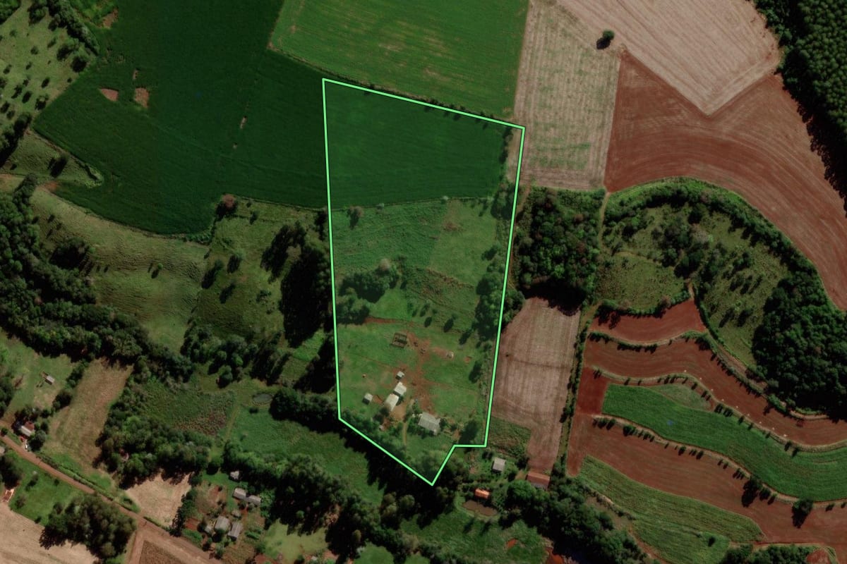 Imagem de satélite do imóvel rural em Quedas do Iguaçu (PR), com o contorno declarado no CAR desenhado por cima.