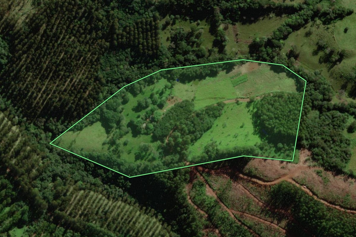 Imagem de satélite do imóvel rural em Quedas do Iguaçu (PR), com o contorno declarado no CAR desenhado por cima.