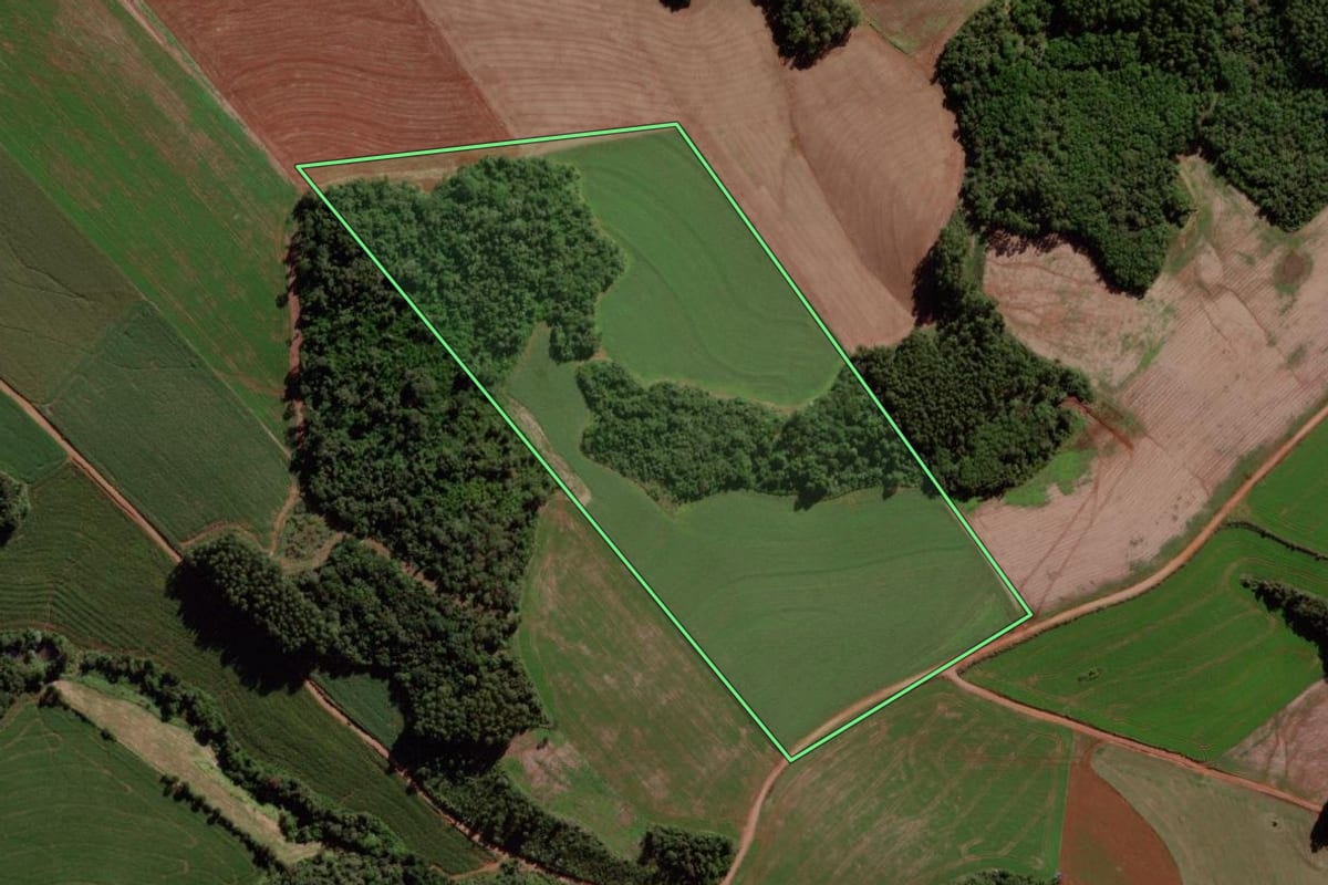 Imagem de satélite do imóvel rural em Quedas do Iguaçu (PR), com o contorno declarado no CAR desenhado por cima.