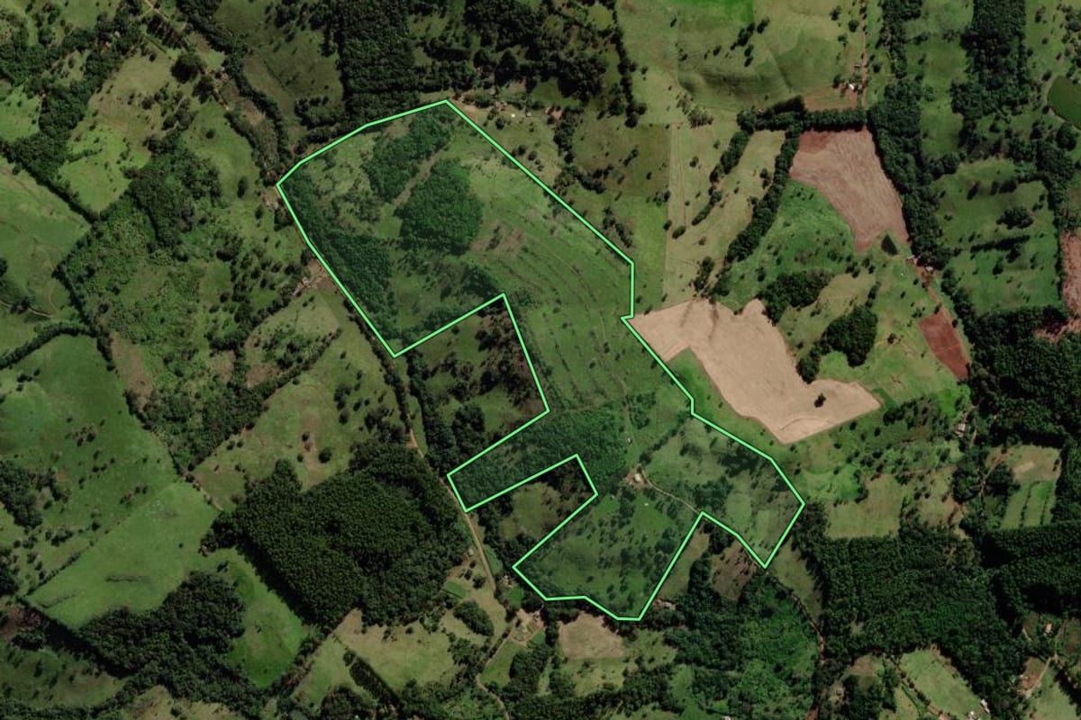 Imagem de satélite do imóvel rural em Quedas do Iguaçu (PR), com o contorno declarado no CAR desenhado por cima.
