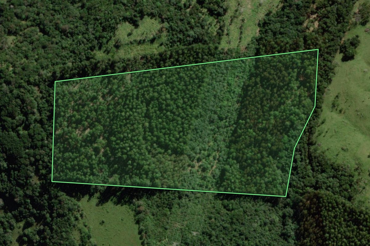 Imagem de satélite do imóvel rural em Quedas do Iguaçu (PR), com o contorno declarado no CAR desenhado por cima.