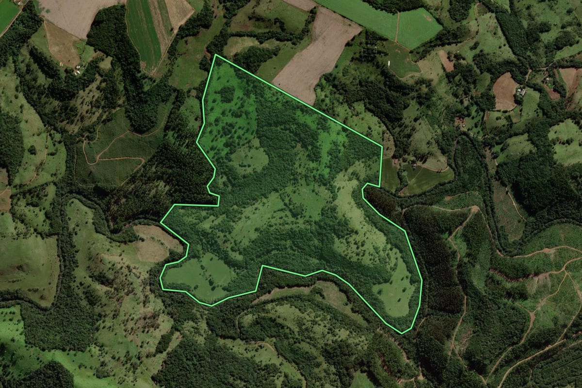 Imagem de satélite do imóvel rural em Quedas do Iguaçu (PR), com o contorno declarado no CAR desenhado por cima.