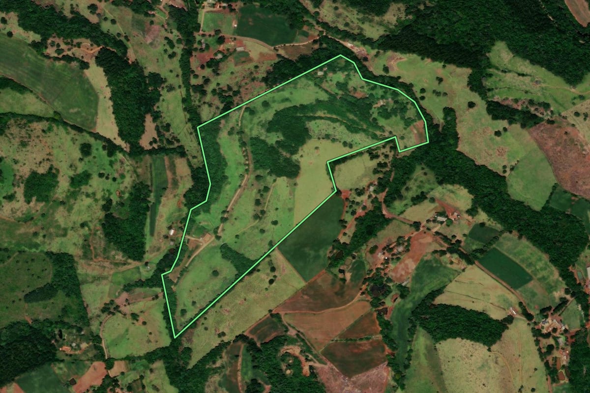 Imagem de satélite do imóvel rural em Quedas do Iguaçu (PR), com o contorno declarado no CAR desenhado por cima.