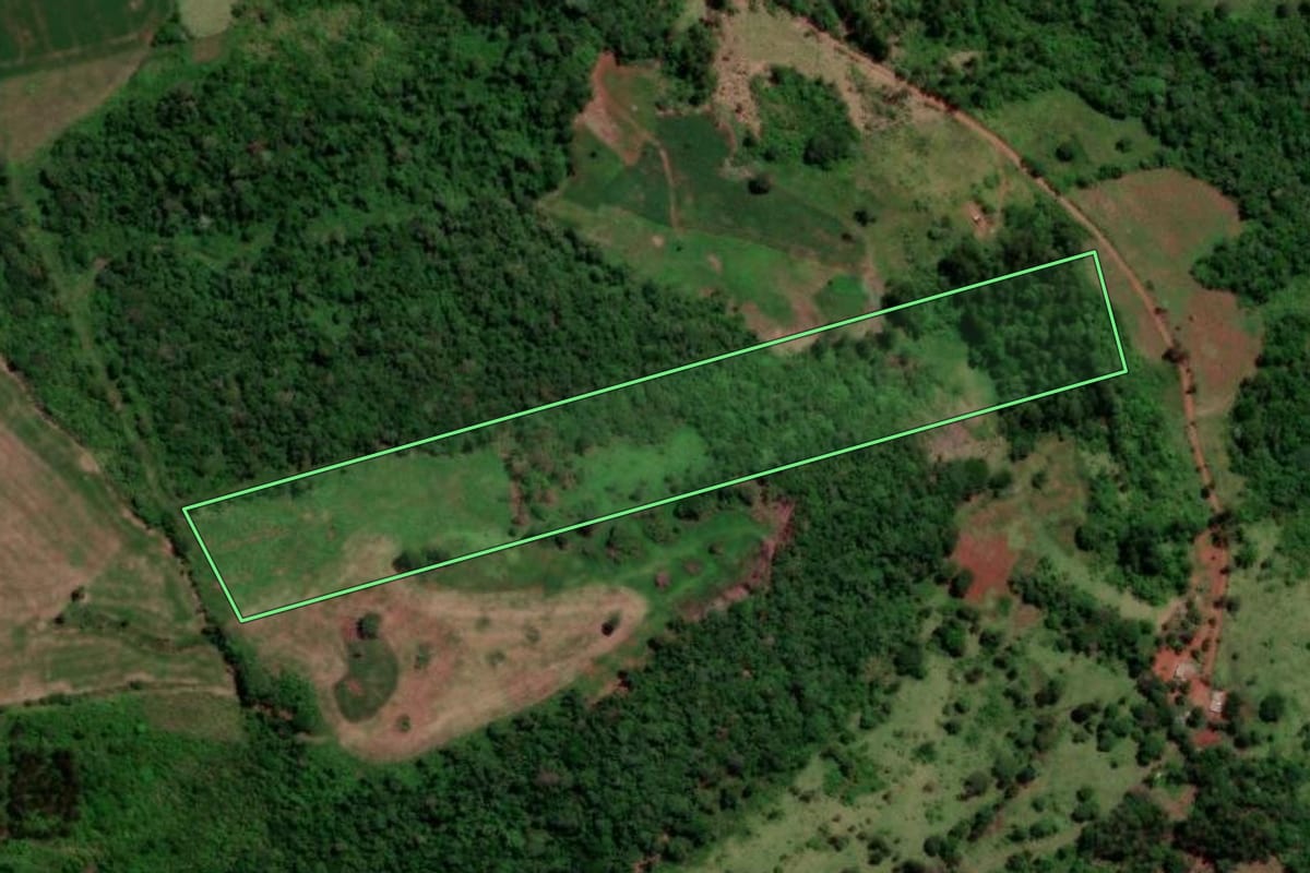 Imagem de satélite do imóvel rural em Quedas do Iguaçu (PR), com o contorno declarado no CAR desenhado por cima.
