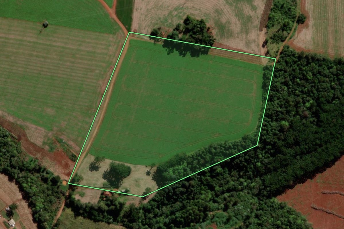 Imagem de satélite do imóvel rural em Quedas do Iguaçu (PR), com o contorno declarado no CAR desenhado por cima.