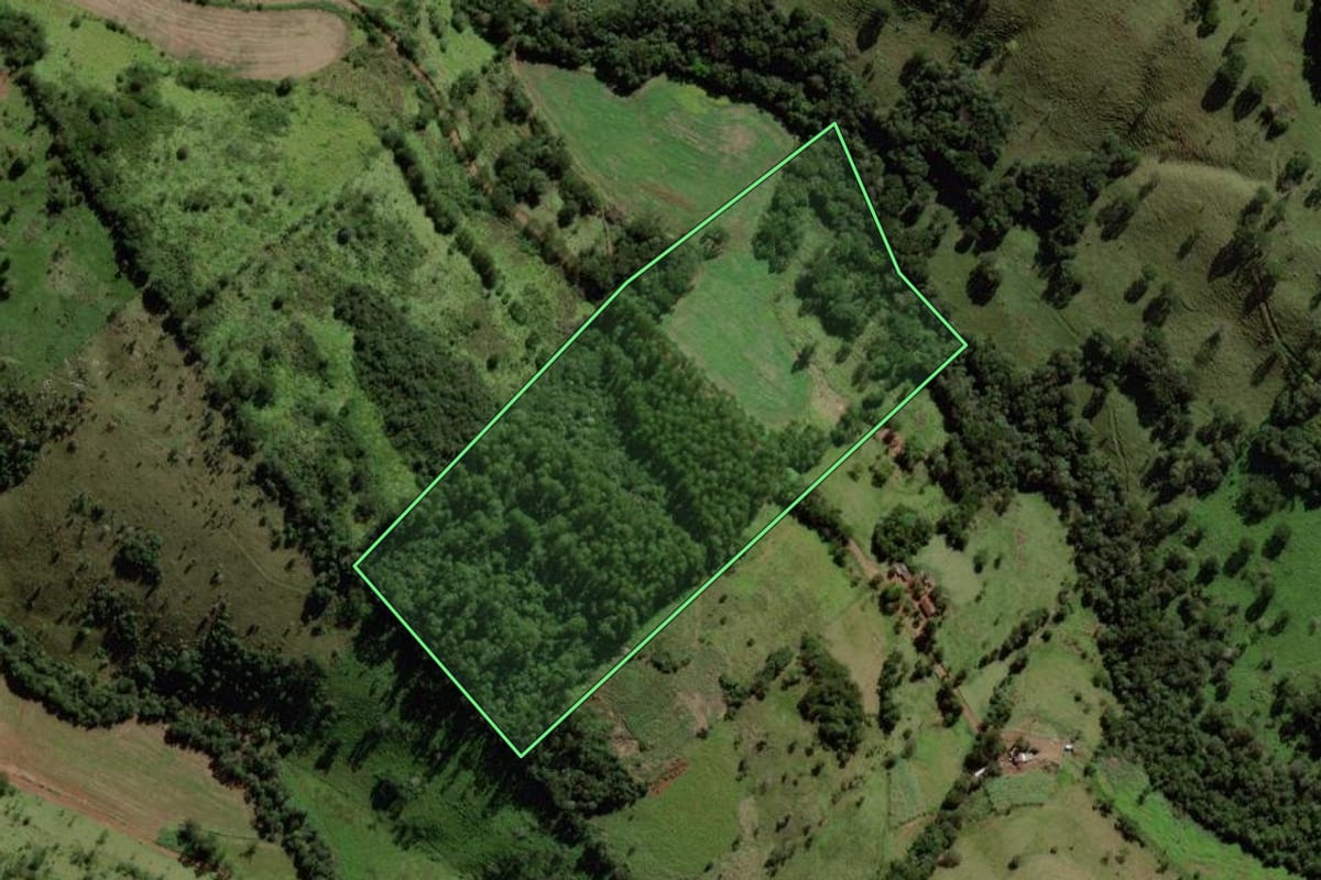 Imagem de satélite do imóvel rural em Quedas do Iguaçu (PR), com o contorno declarado no CAR desenhado por cima.