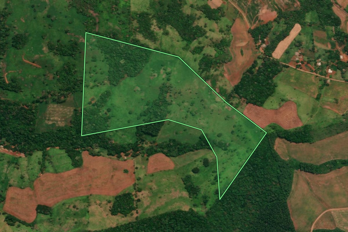 Imagem de satélite do imóvel rural em Quedas do Iguaçu (PR), com o contorno declarado no CAR desenhado por cima.