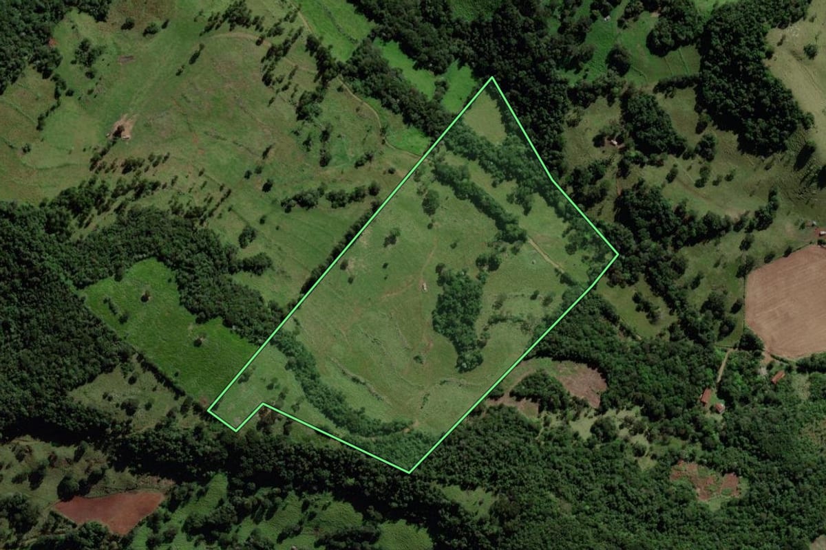 Imagem de satélite do imóvel rural em Quedas do Iguaçu (PR), com o contorno declarado no CAR desenhado por cima.