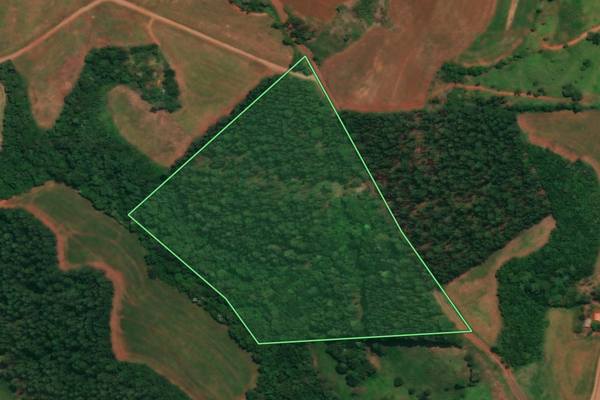 Imagem de satélite do imóvel rural em Quedas do Iguaçu (PR), com o contorno declarado no CAR desenhado por cima.
