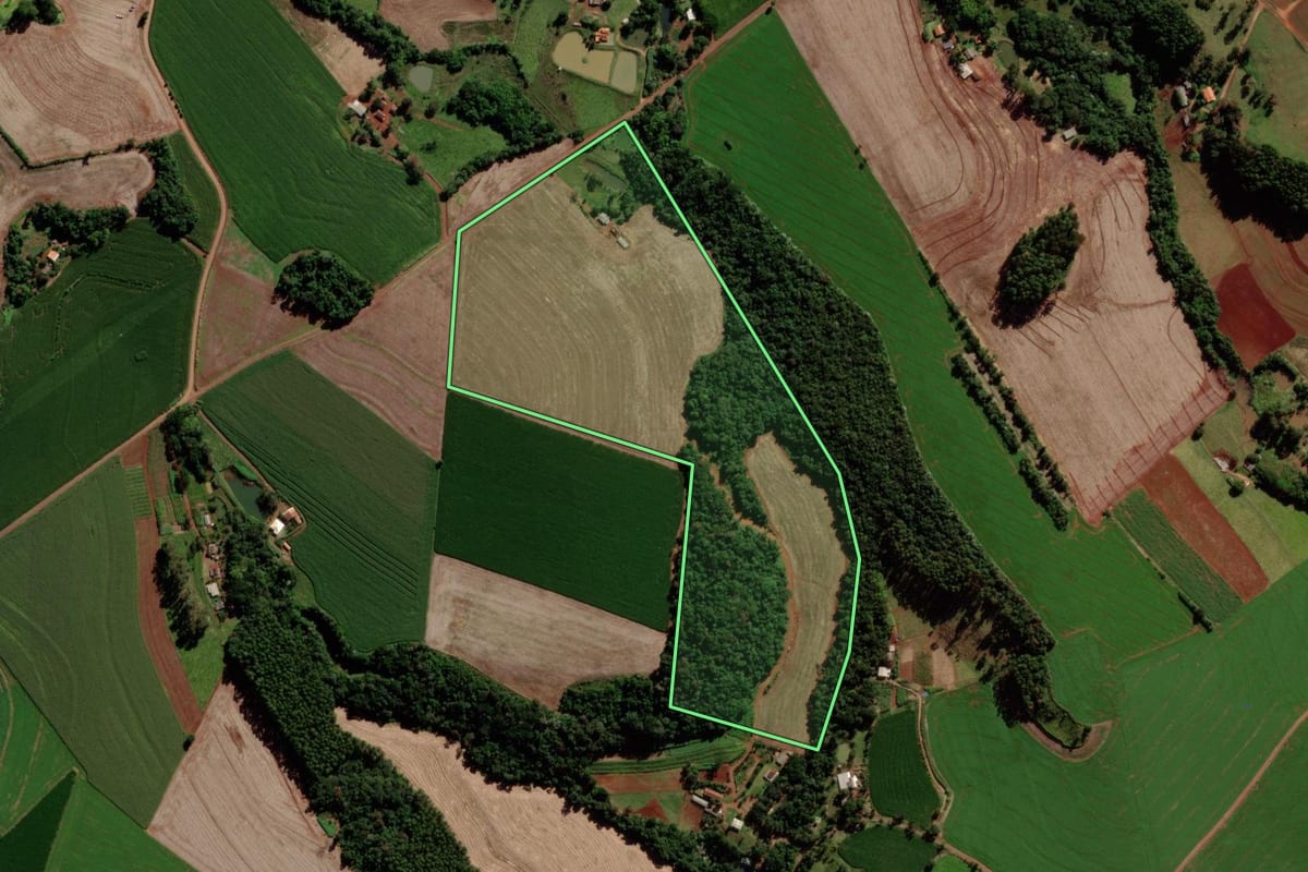Imagem de satélite do imóvel rural em Quedas do Iguaçu (PR), com o contorno declarado no CAR desenhado por cima.