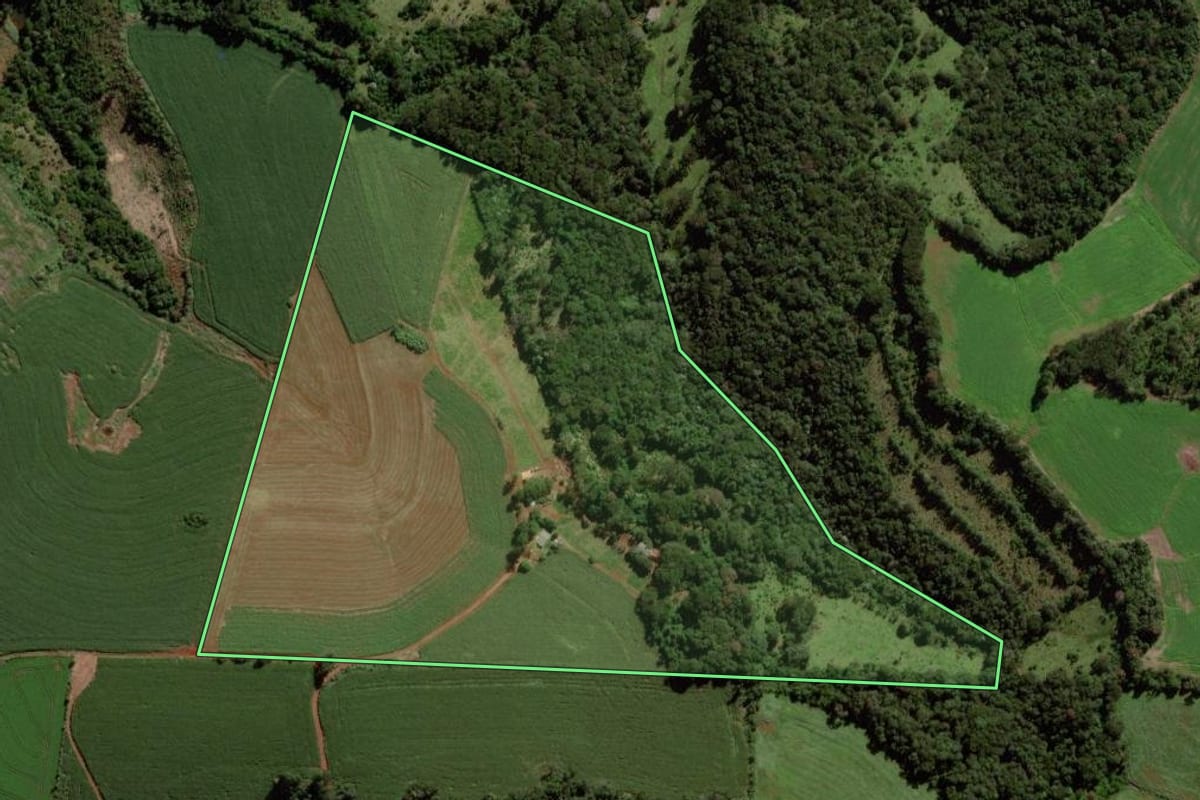 Imagem de satélite do imóvel rural em Quedas do Iguaçu (PR), com o contorno declarado no CAR desenhado por cima.