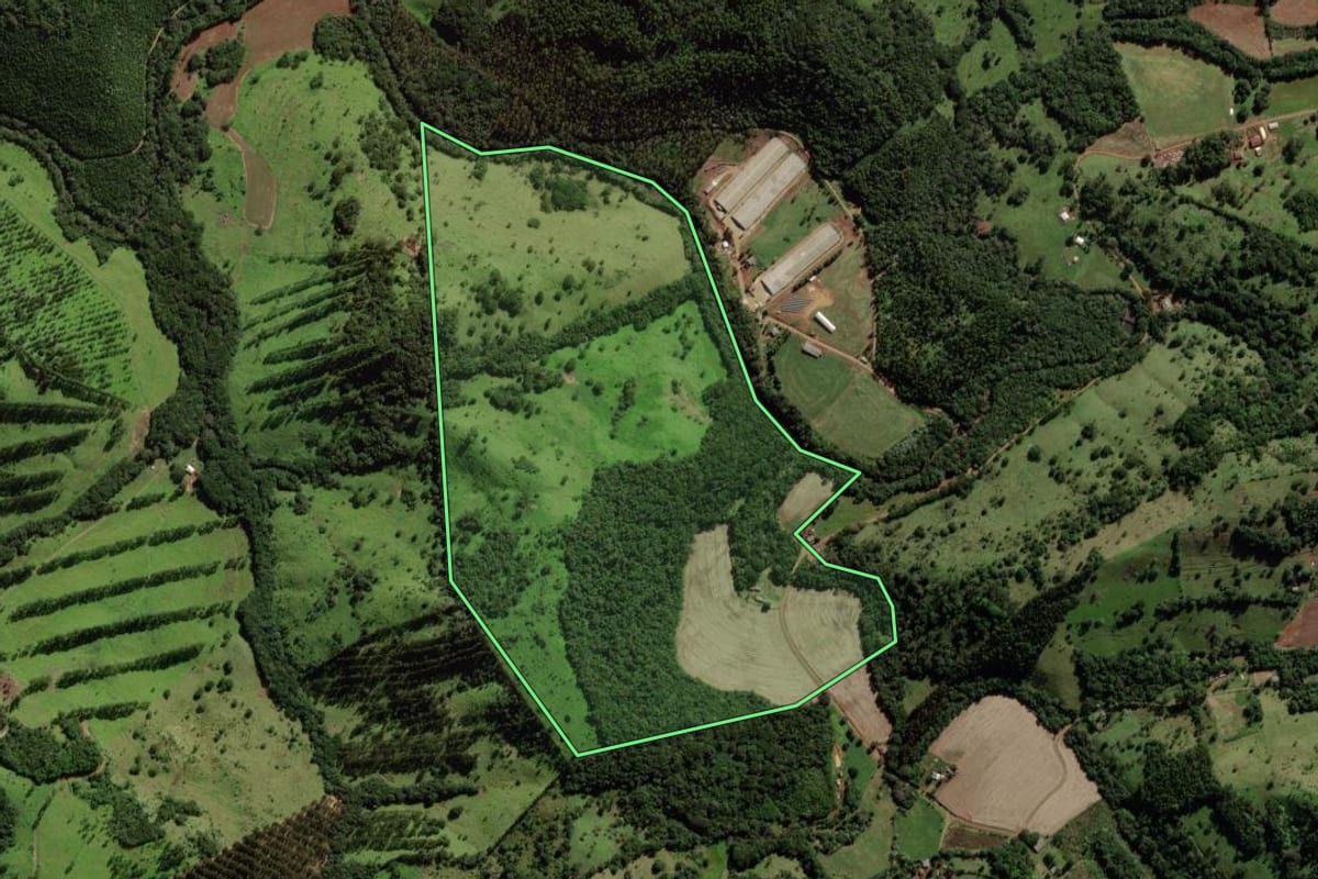 Imagem de satélite do imóvel rural em Quedas do Iguaçu (PR), com o contorno declarado no CAR desenhado por cima.