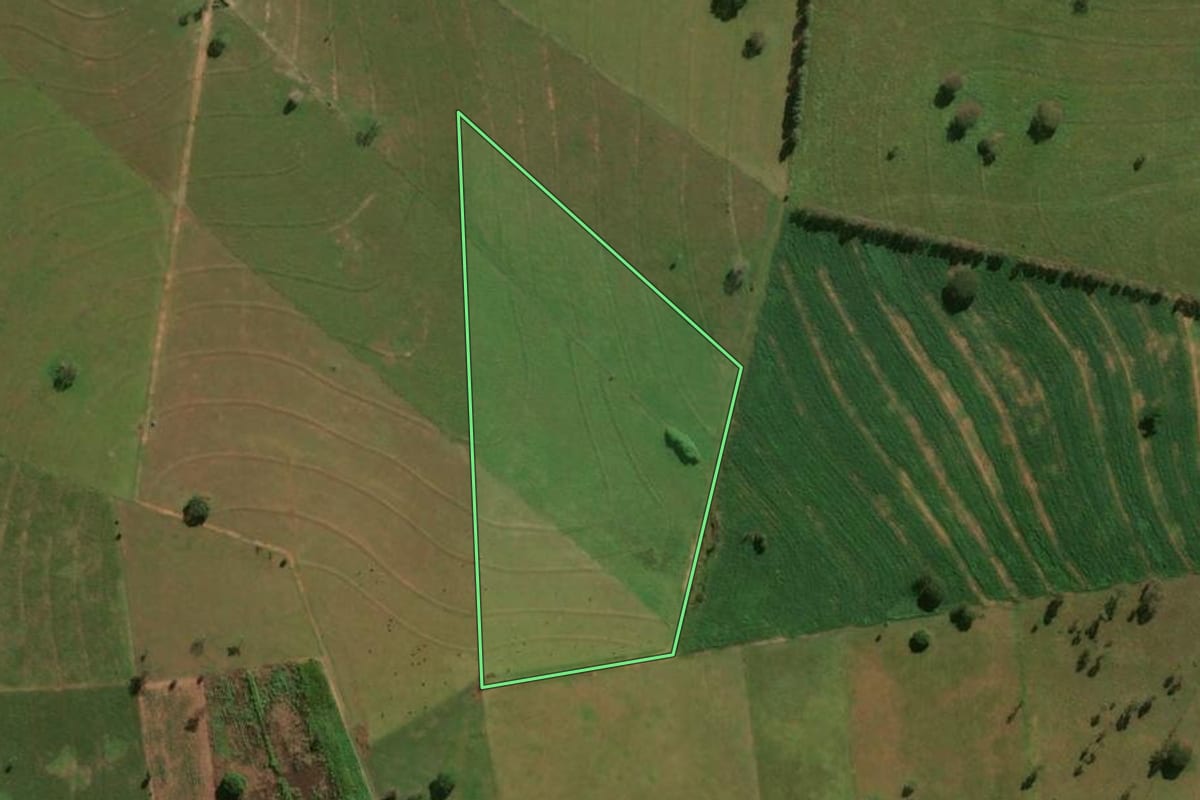 Imagem de satélite do imóvel rural em Querência do Norte (PR), com o contorno declarado no CAR desenhado por cima.