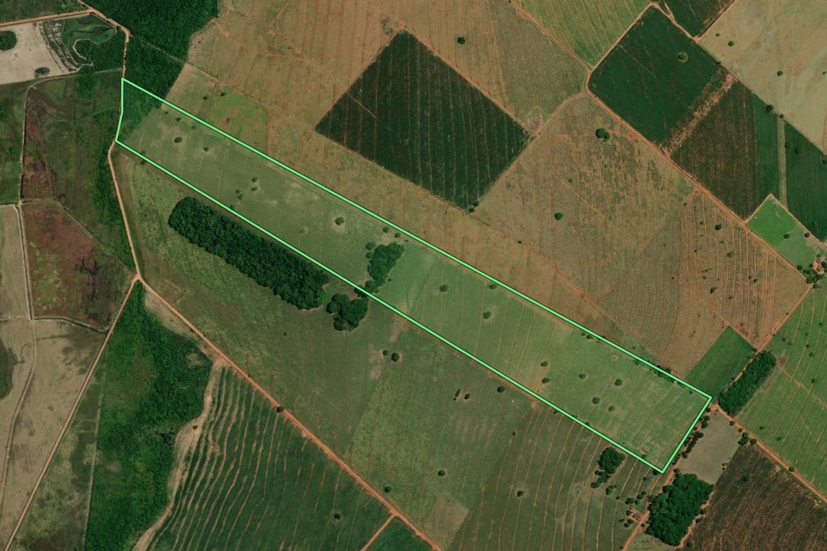 Imagem de satélite do imóvel rural em Querência do Norte (PR), com o contorno declarado no CAR desenhado por cima.
