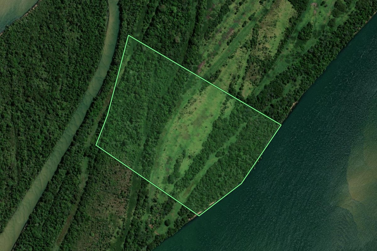 Imagem de satélite do imóvel rural em Querência do Norte (PR), com o contorno declarado no CAR desenhado por cima.