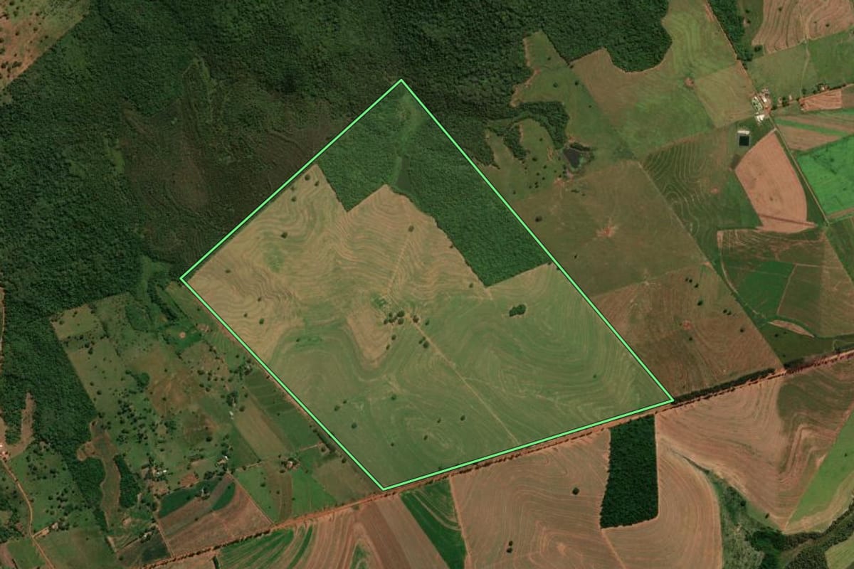 Imagem de satélite do imóvel rural em Querência do Norte (PR), com o contorno declarado no CAR desenhado por cima.