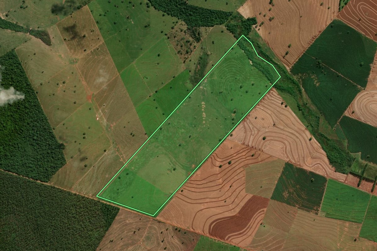 Imagem de satélite do imóvel rural em Querência do Norte (PR), com o contorno declarado no CAR desenhado por cima.