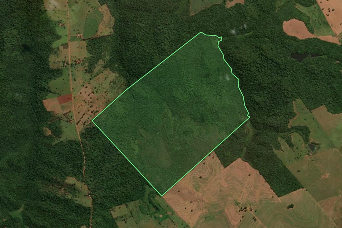 Imagem de satélite do imóvel rural em Querência do Norte (PR), com o contorno declarado no CAR desenhado por cima.