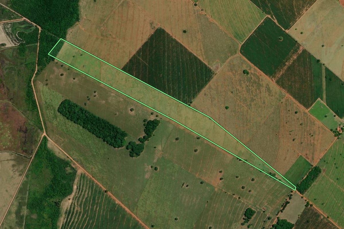 Imagem de satélite do imóvel rural em Querência do Norte (PR), com o contorno declarado no CAR desenhado por cima.