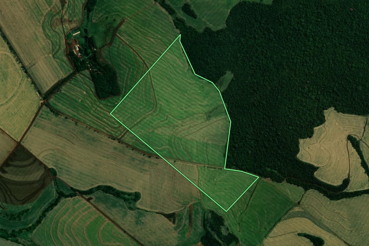 Imagem de satélite do imóvel rural em Quinta do Sol (PR), com o contorno declarado no CAR desenhado por cima.