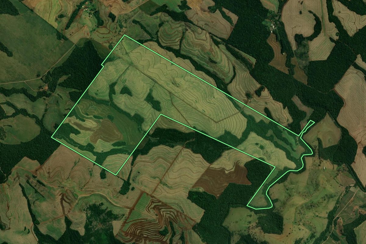 Imagem de satélite do imóvel rural em Fênix (PR), com o contorno declarado no CAR desenhado por cima.